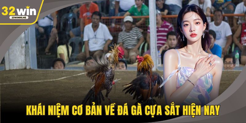 Khái niệm cơ bản về đá gà cựa sắt hiện nay