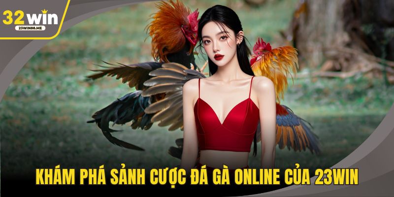 Khám phá sảnh cược đá gà online của 23WIN