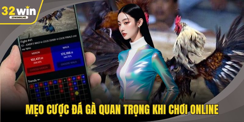 Mẹo cược đá gà quan trọng khi chơi online