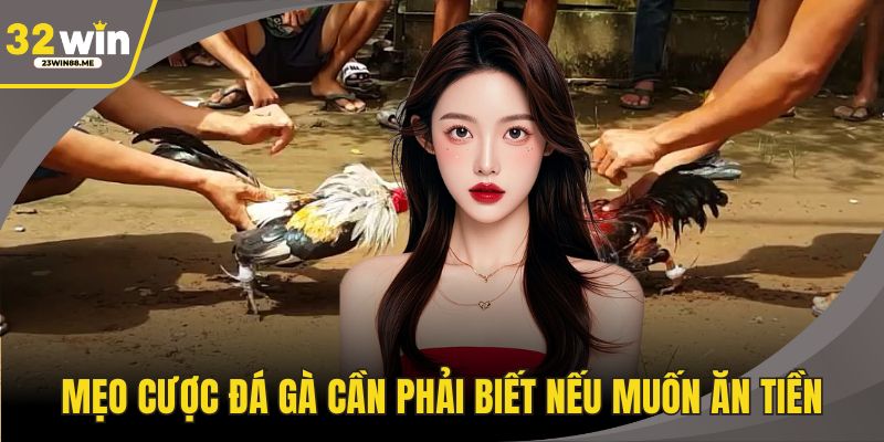 Mẹo cược đá gà