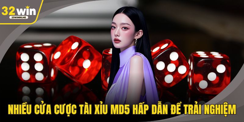 Nhiều cửa cược tài xỉu MD5 hấp dẫn để trải nghiệm