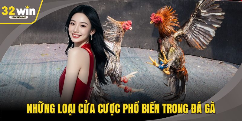 Những loại cửa cược phổ biến trong đá gà