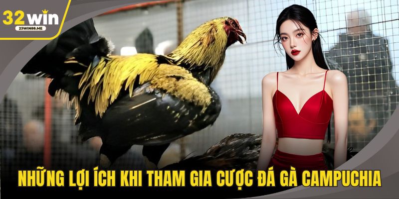 Những lợi ích khi tham gia cược đá gà Campuchia