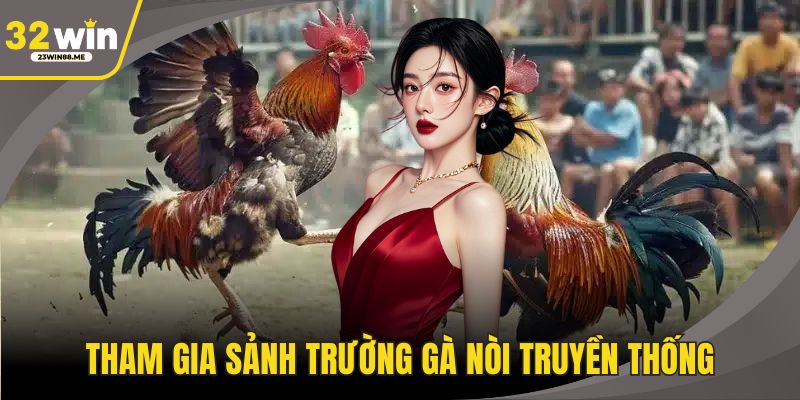 Tham gia sảnh trường gà nòi truyền thống