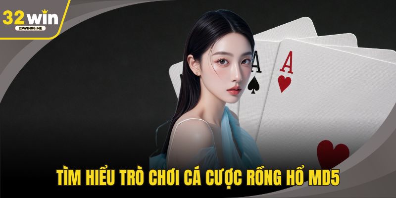 Tìm hiểu trò chơi cá cược Rồng Hổ MD5